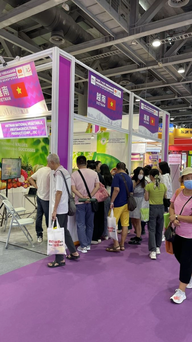 Vegetexco connects Vietnamese agricultural products with the Chinese market