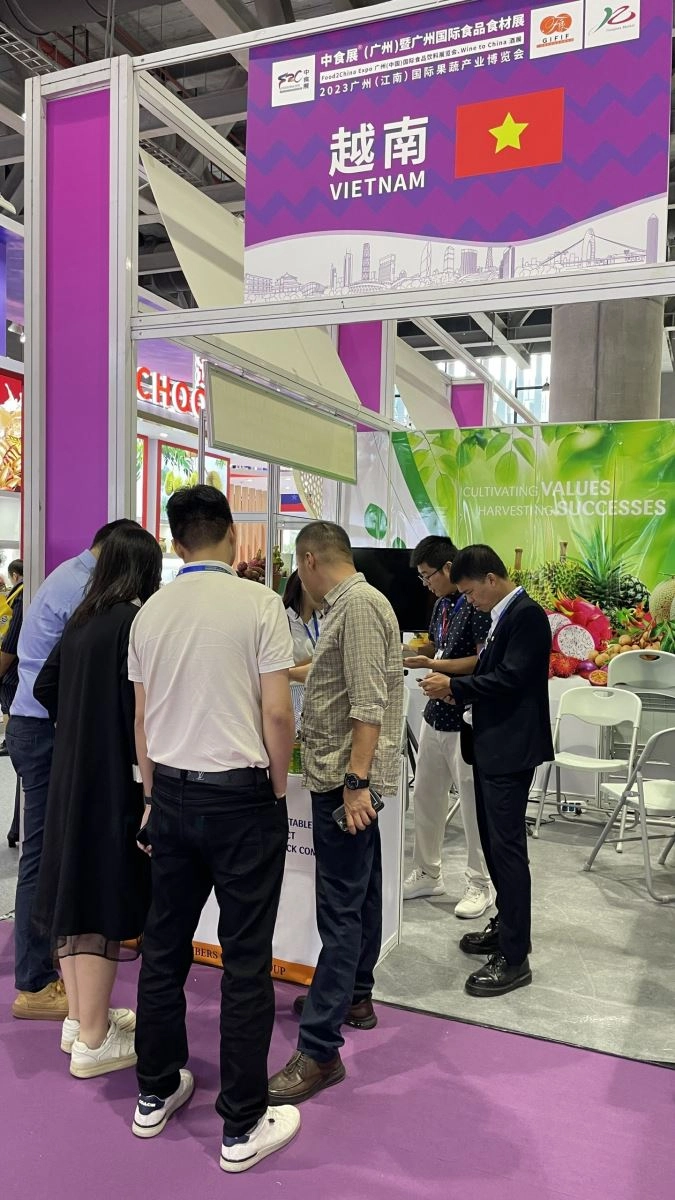 Vegetexco connects Vietnamese agricultural products with the Chinese market
