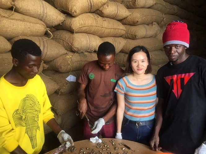 T&T Group signed the largest contract in the history of the world cashew industry